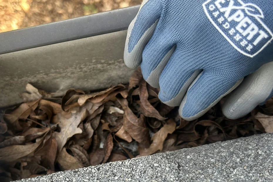 Gutter Cleaning Lombard