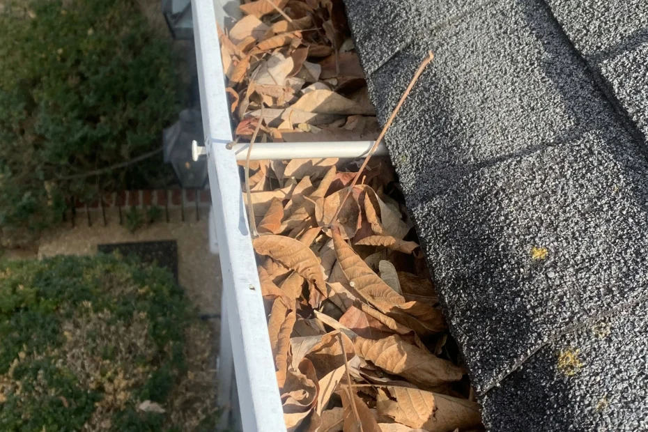 Gutter Cleaning Lombard