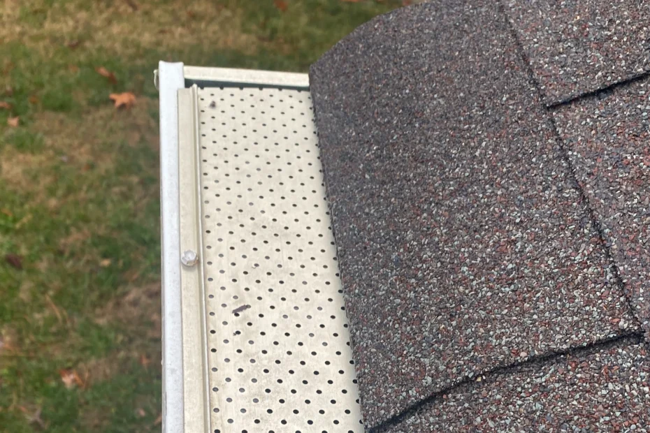 Gutter Cleaning Lombard